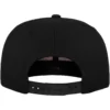 skwm-tb-110_P2-00007 110 Fitted Snapback