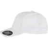 skwm-tb-180AP_P4-00220 Delta Snapback