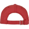 skwm-tb-6245EC_P2-01075 Ecowash Dad Cap
