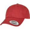 skwm-tb-6245EC_P3-01075 Ecowash Dad Cap