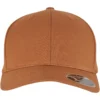 110 Curved Snapback