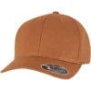 110 Curved Snapback