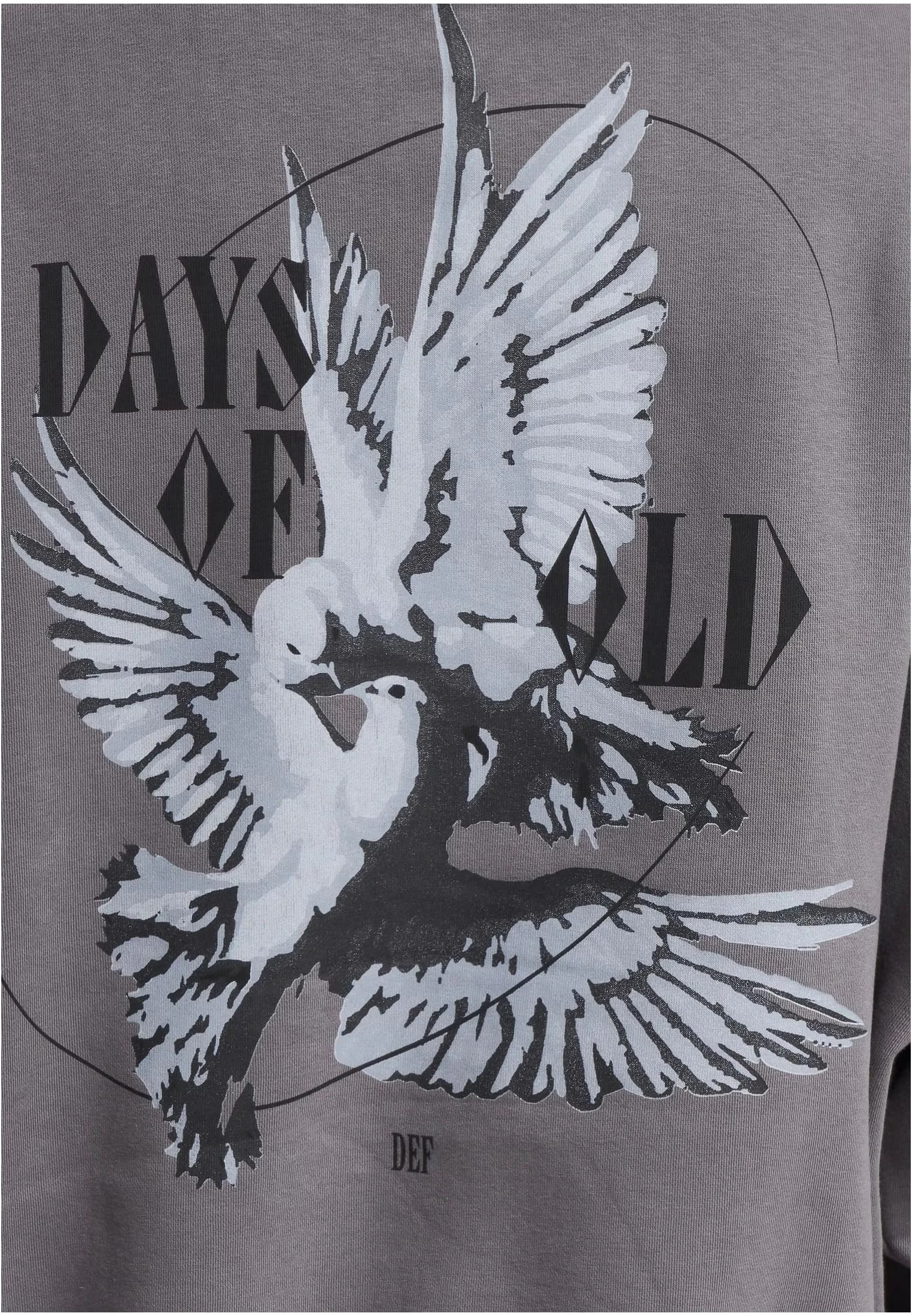 skwm-tb-DFHD192_Mw19-04493 Fly Hoodie