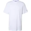 skwm-tb-DFTS241_P1-05104 Tall T-Shirts