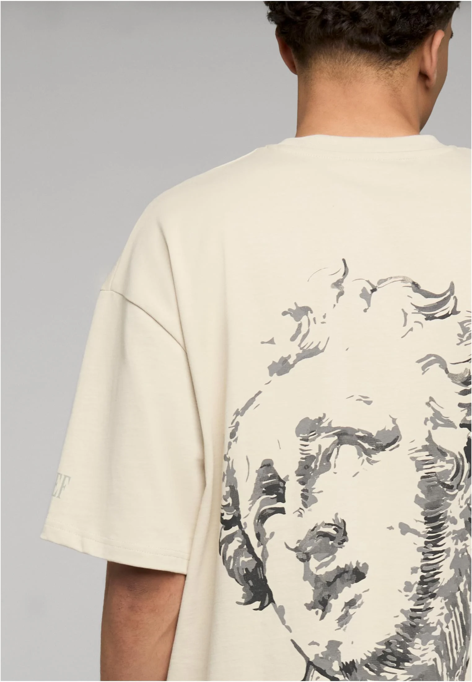 skwm-tb-DFTS244_Mw17-03415 Boy T-Shirt