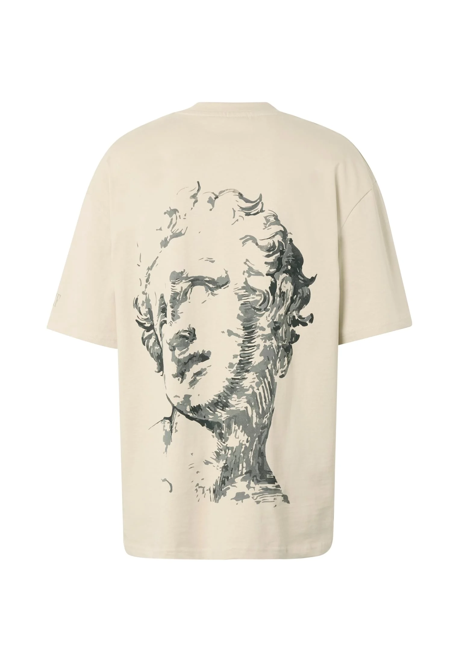 skwm-tb-DFTS244_P2-03415 Boy T-Shirt