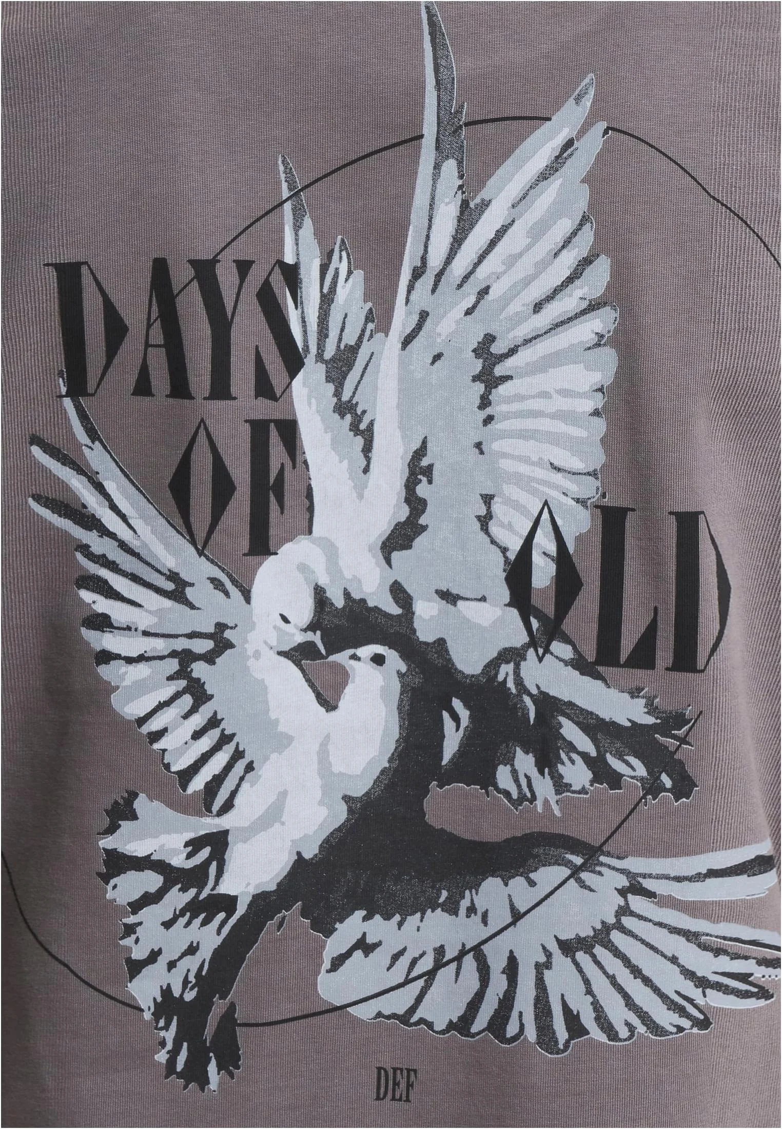 skwm-tb-DFTS247_Mw17-04493 Fly T-Shirt