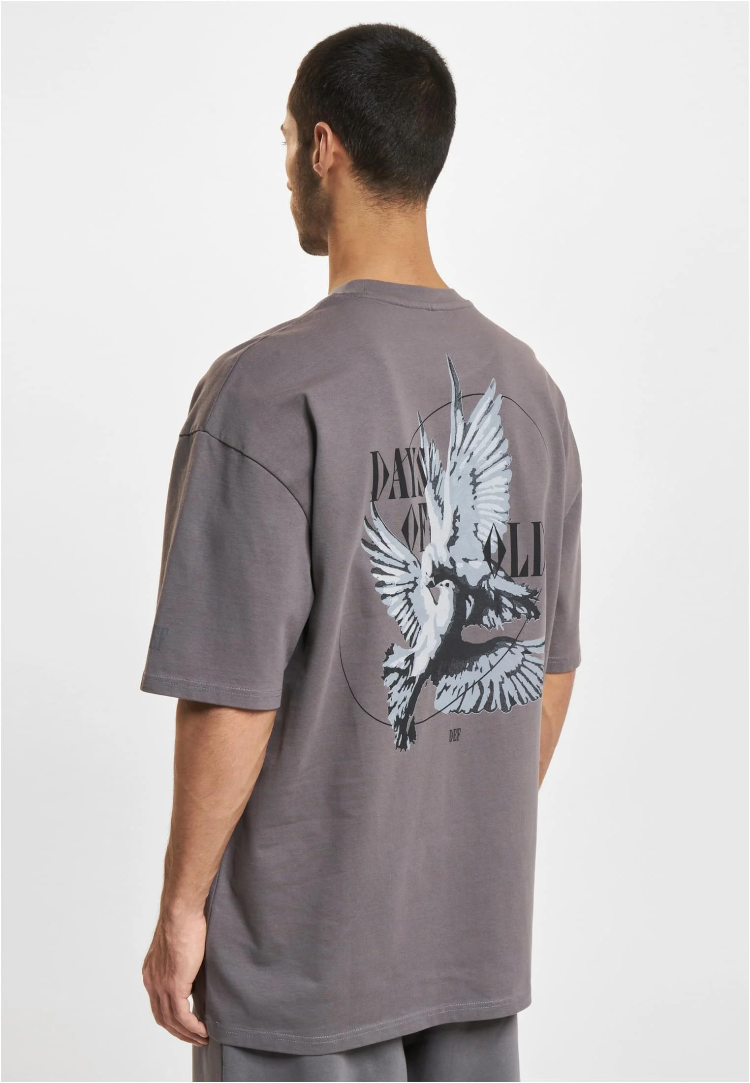 skwm-tb-DFTS247_Mw2-04493 Fly T-Shirt