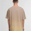 skwm-tb-DFTS260_Mw2-21366 GRADIENT T-Shirts