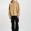 skwm-tb-DGHD505T_Mw12-03738 Brave Hoodies