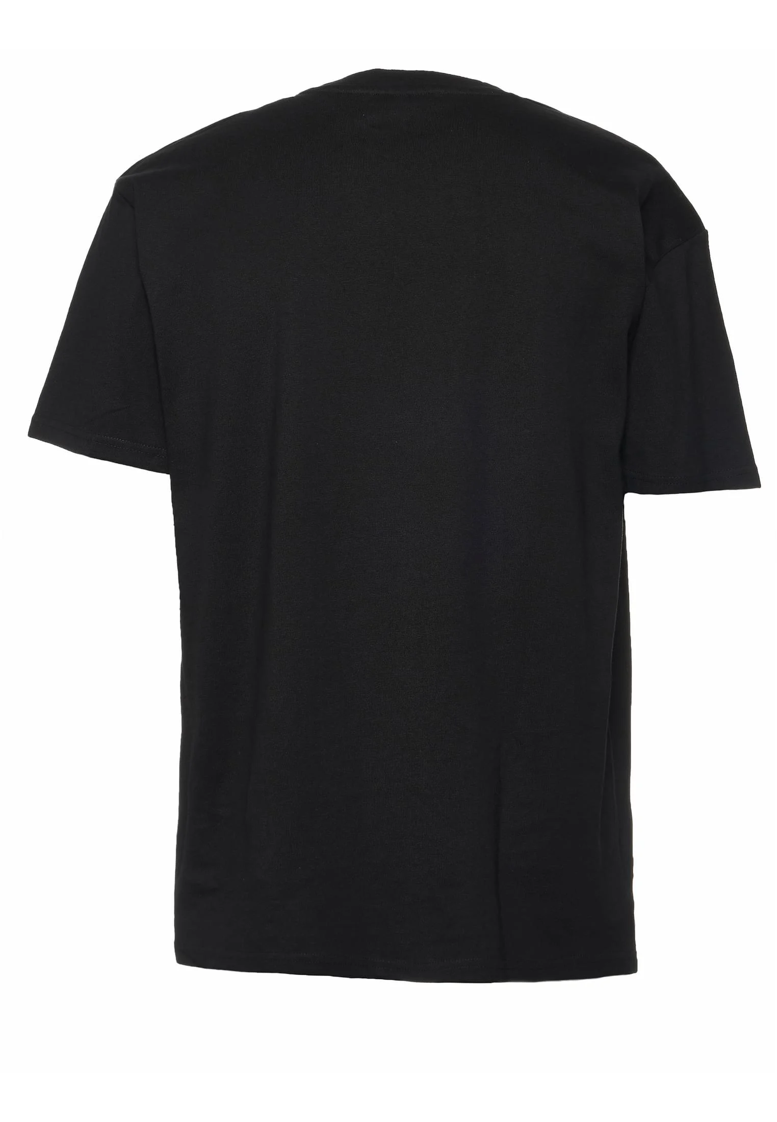 skwm-tb-DGTS855T_P2-00007 ThePush T-Shirt