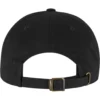 Green Day Dookie Logo Dad Cap