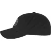 Green Day Dookie Logo Dad Cap