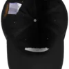 Green Day Dookie Logo Dad Cap