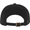 Green Day American Idiot Symbol Dad Cap