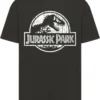 skwm-tb-MC1166_P1-00007_913fab2c-ca3a-4b3c-b48e-6c9e3f03de54 Jurassic Park Distressed Logo Oversize Tee