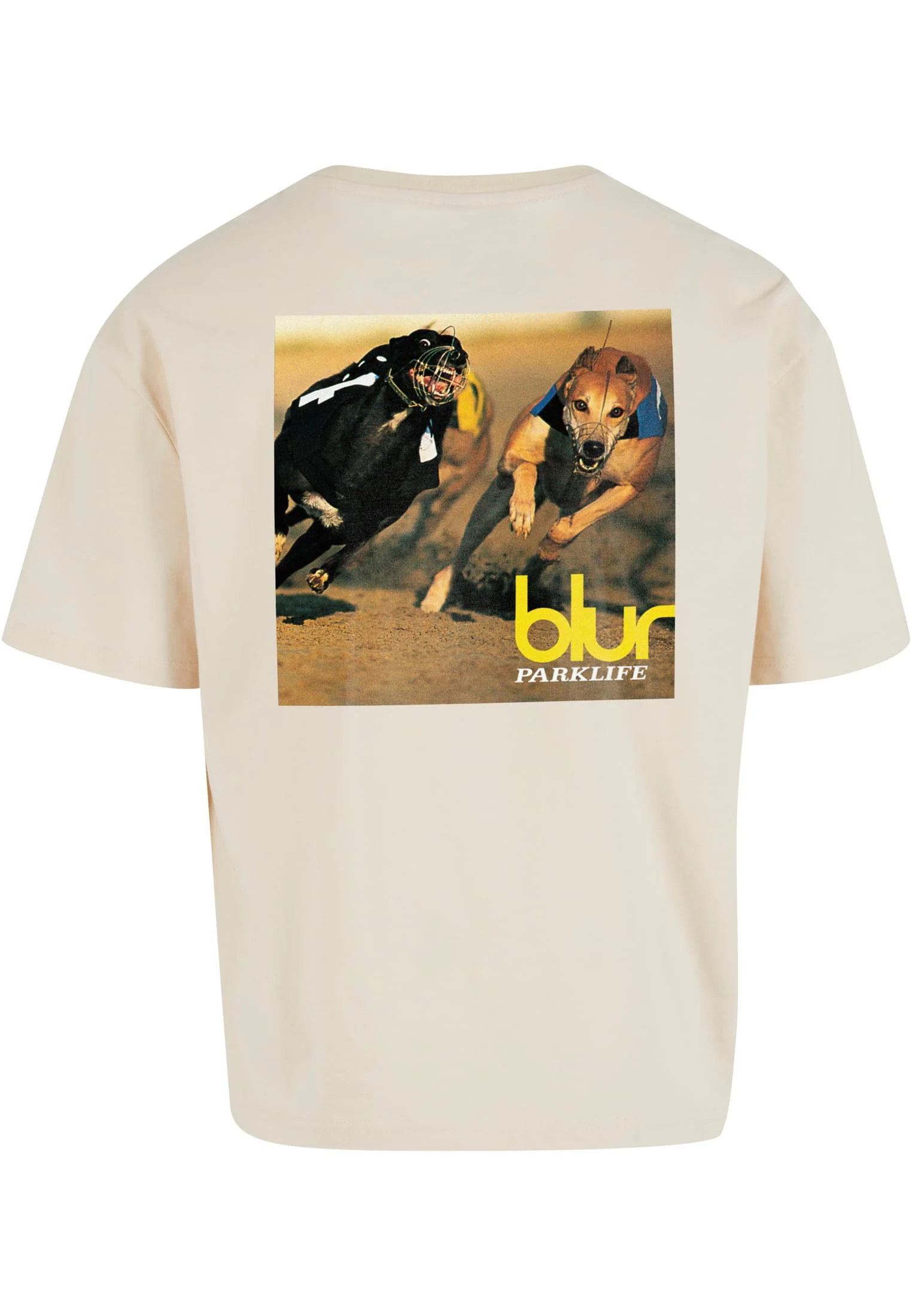 skwm-tb-MC1529_P2-00208 Blur Parklife Cropped Tee