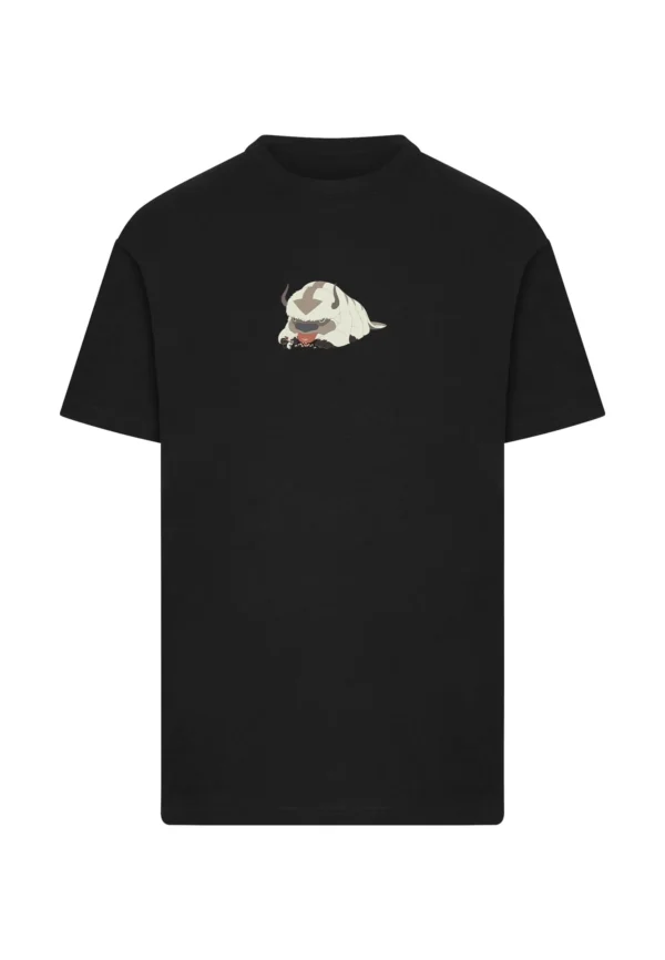 skwm-tb-MC1887_P1-00007 Avatar Appa Embroidery Tee