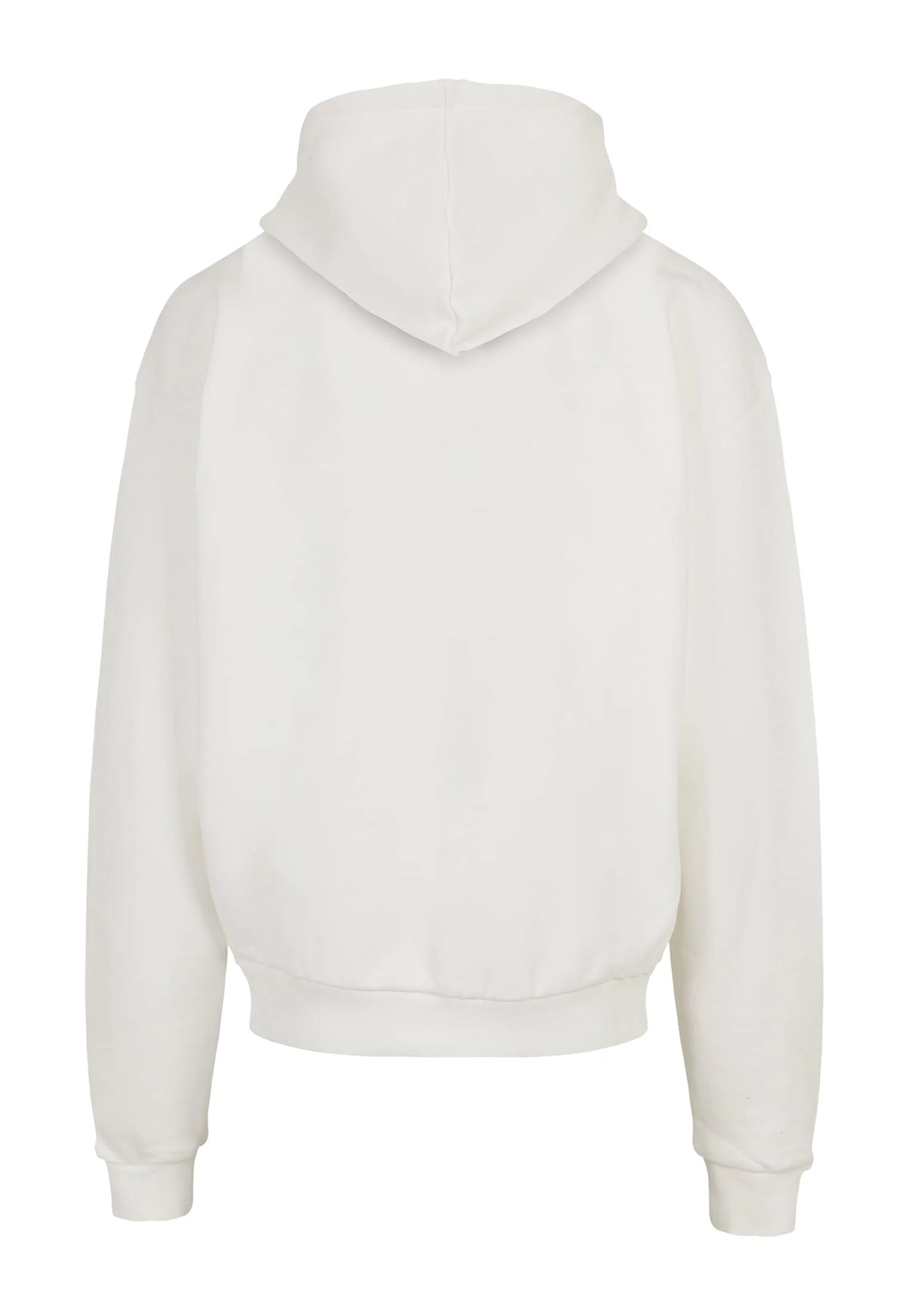 skwm-tb-MP0008987_P2-03232_a934b572-7f31-44eb-bd0e-a7fdcb293f89 Halloween - Boo To You Hoody