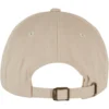 skwm-tb-MST289_P2-00372 Dream Believe Achieve Cotton Twill Cap
