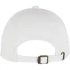skwm-tb-MST325_P2-00220 Heart Cherries Dad Cap