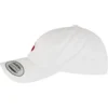 skwm-tb-MST325_P4-00220 Heart Cherries Dad Cap