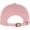 skwm-tb-MST327_P2-00185 Become Change Dad Cap