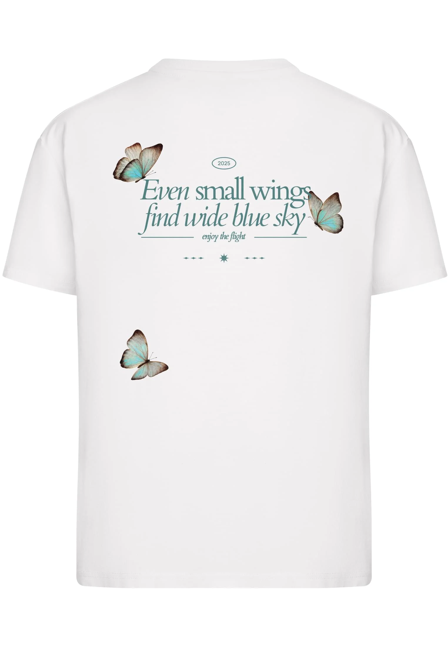 skwm-tb-MST402_P2-00220 Even Small Wing Find Wide Blue Sky Tee