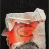 skwm-tb-MT1898_Mw15-00007 Apollo II Oversize Tee