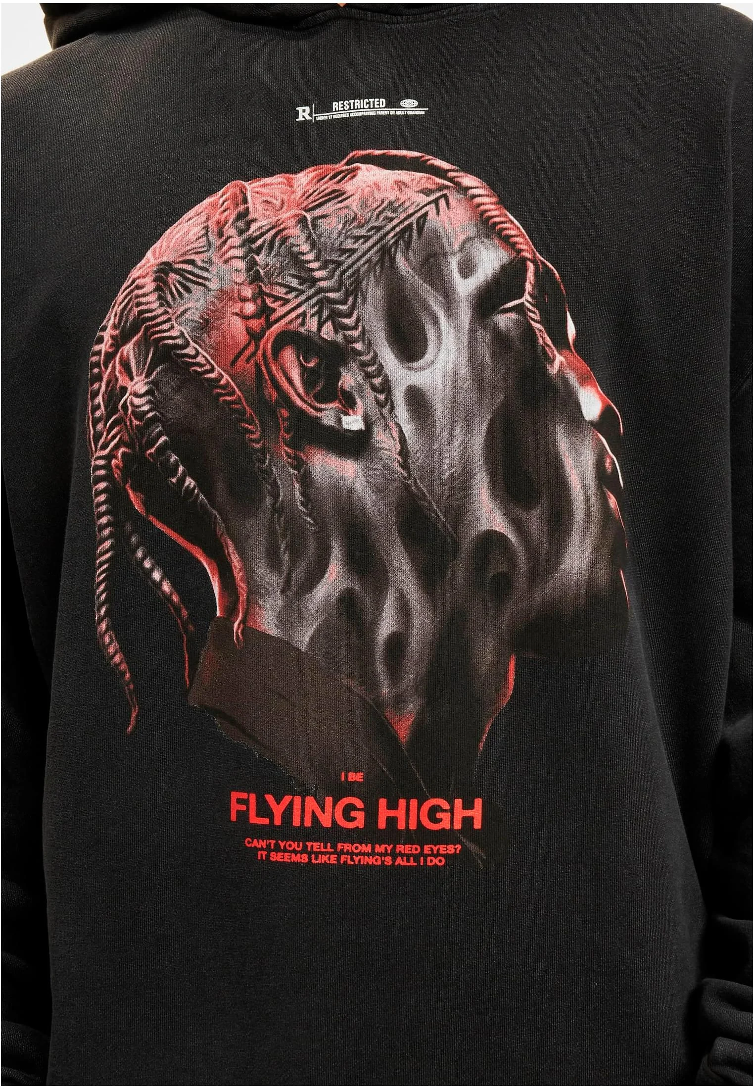 Flying High Hoodie