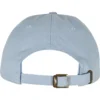 skwm-tb-MT2581_P2-04365 Au Revoir Dad Cap