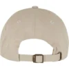 skwm-tb-MT2841_P2-00372 Ice Cream Dad Cap