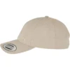 skwm-tb-MT2841_P4-00372 Ice Cream Dad Cap