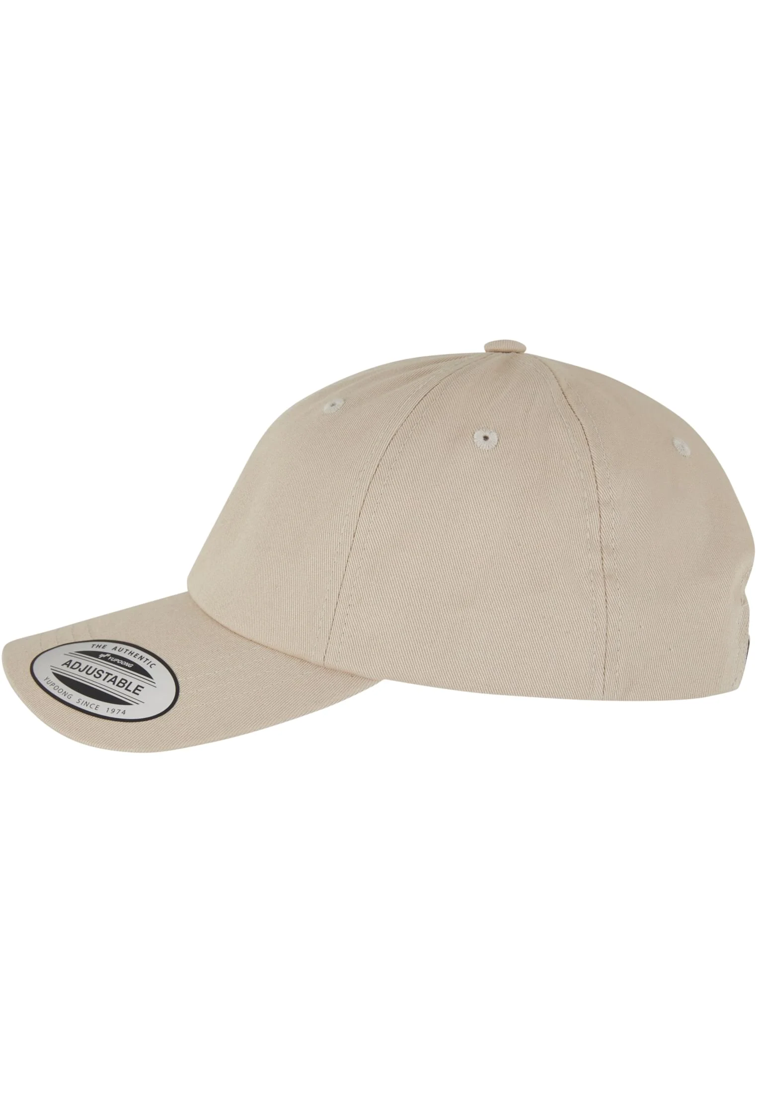 skwm-tb-MT2841_P4-00372 Ice Cream Dad Cap
