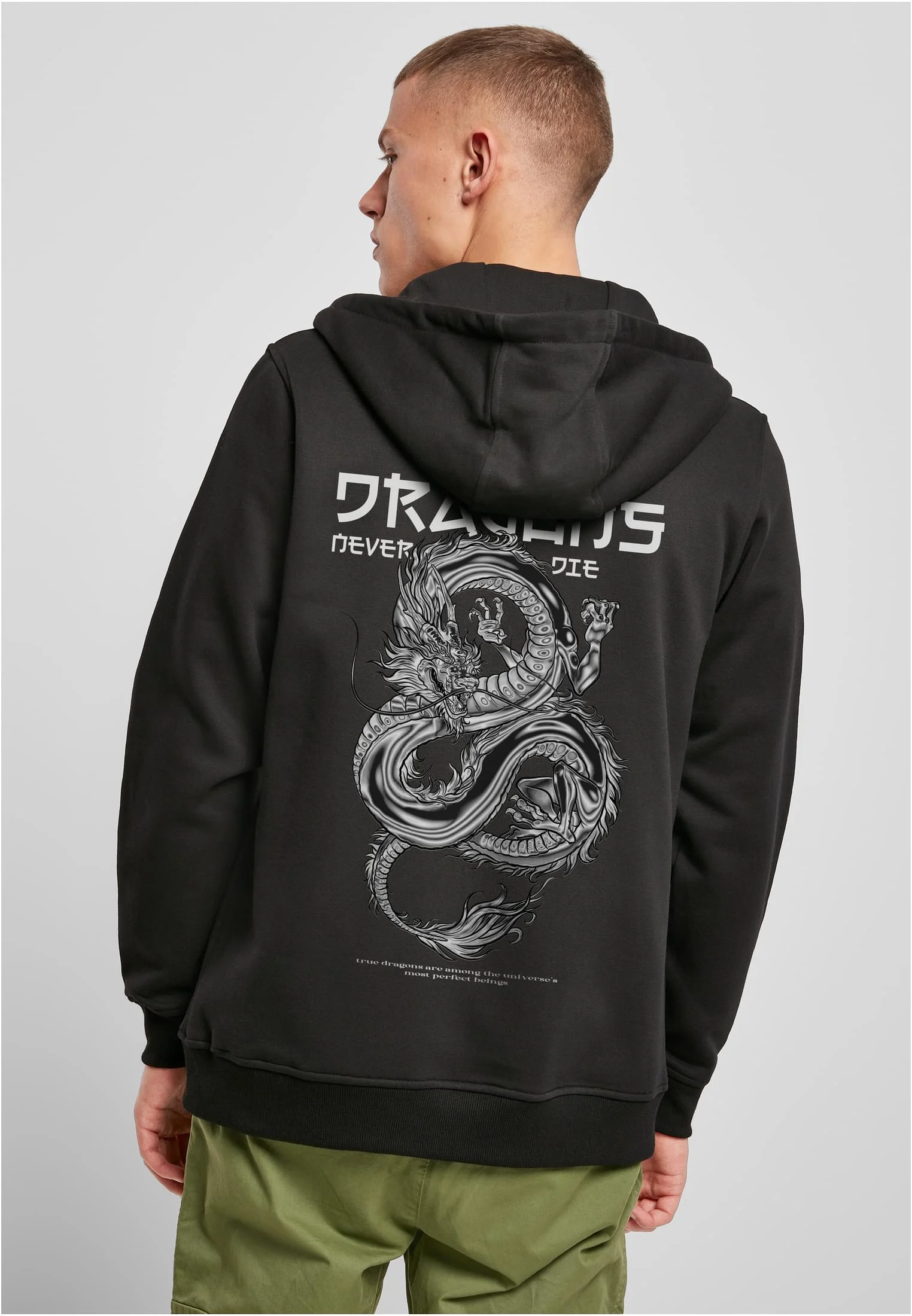 skwm-tb-MT3063_Mw2-00007 Dragons Never Die Heavy Zip Hoody