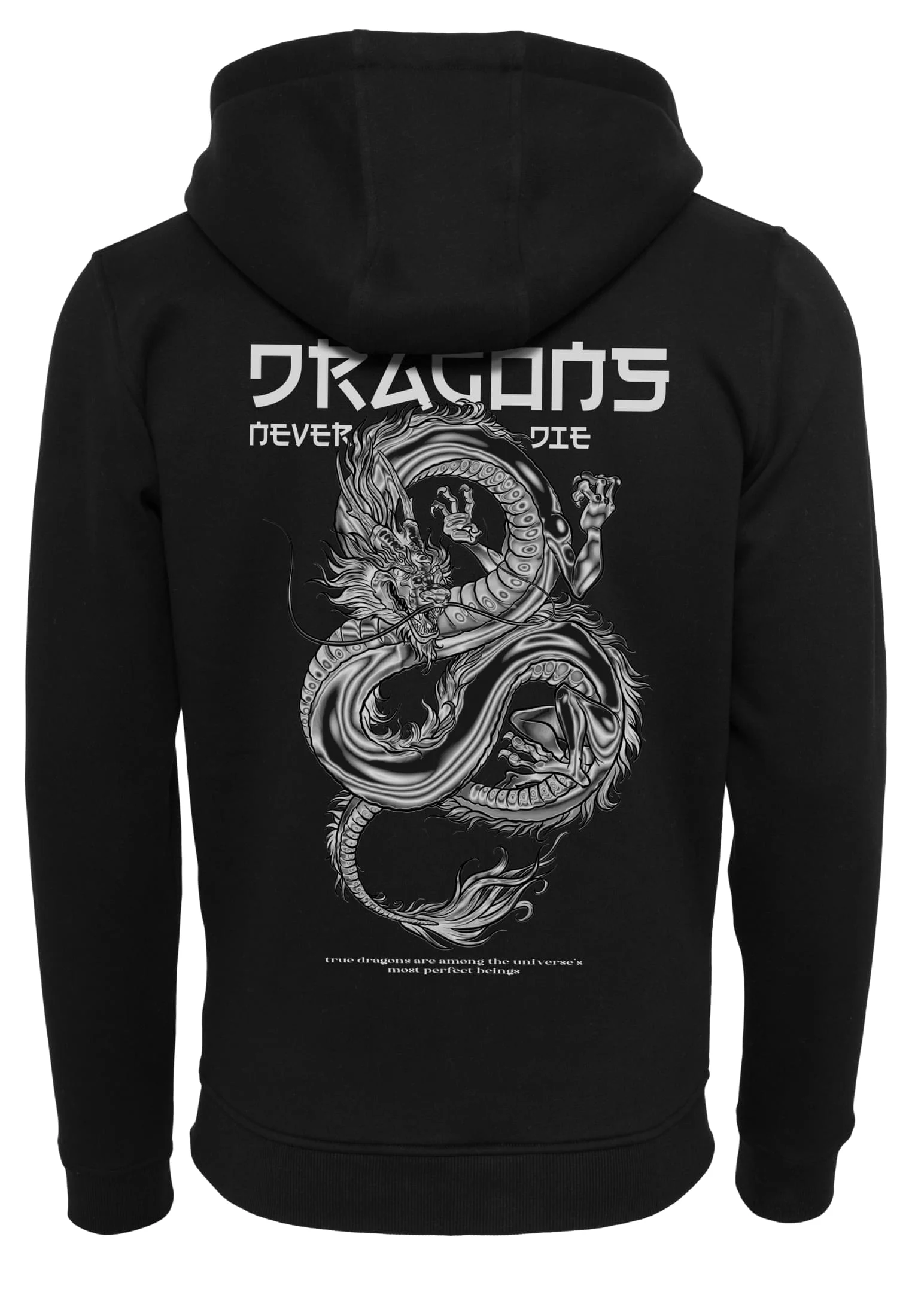 skwm-tb-MT3063_P2-00007 Dragons Never Die Heavy Zip Hoody