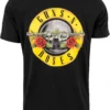 skwm-tb-MT346_P1-00007_2fd54898-3513-43e2-a222-069e1fbe87d6 Guns n' Roses Logo Tee