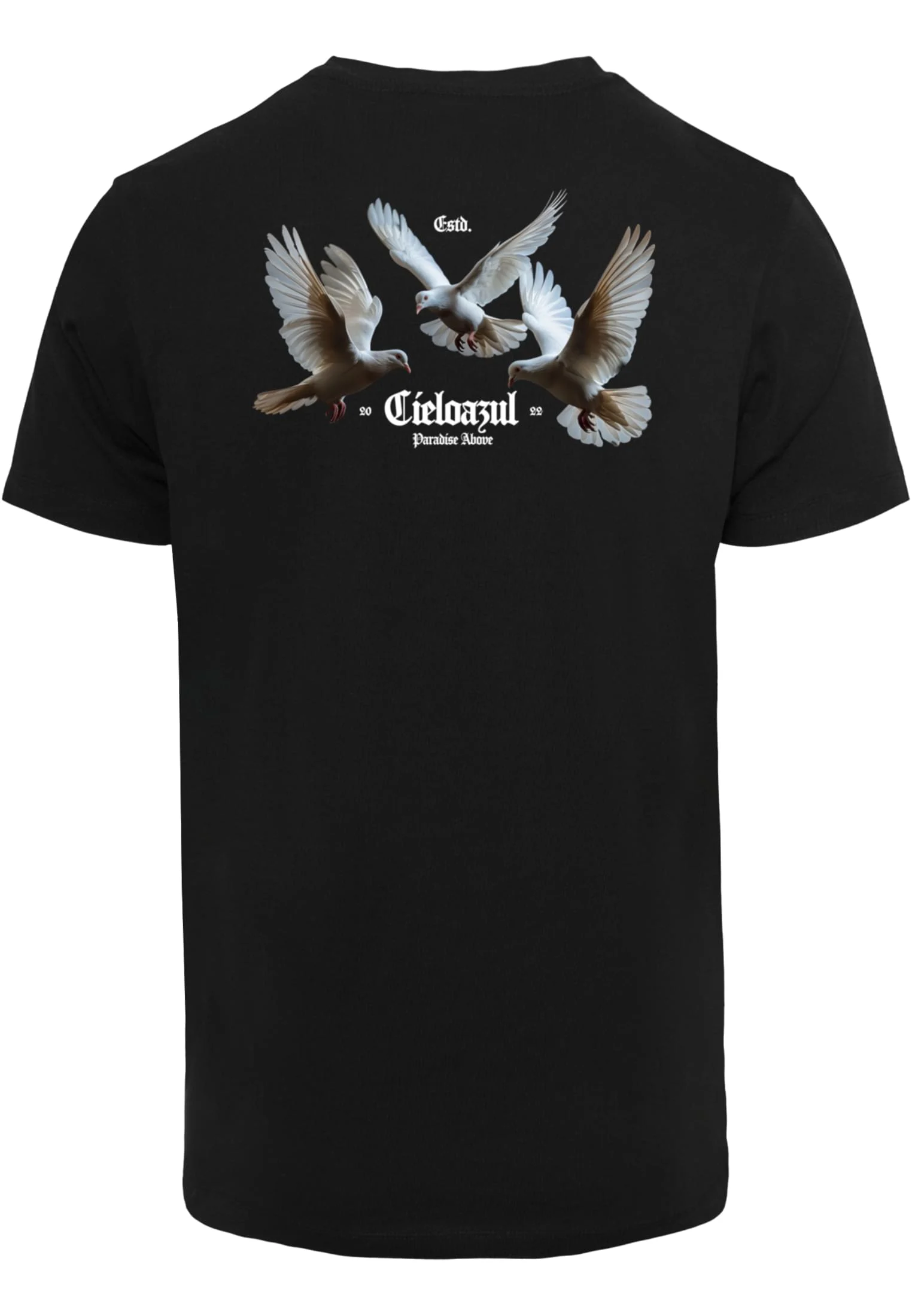 skwm-tb-MT3576_P2-00007 Cielo Azul Tee