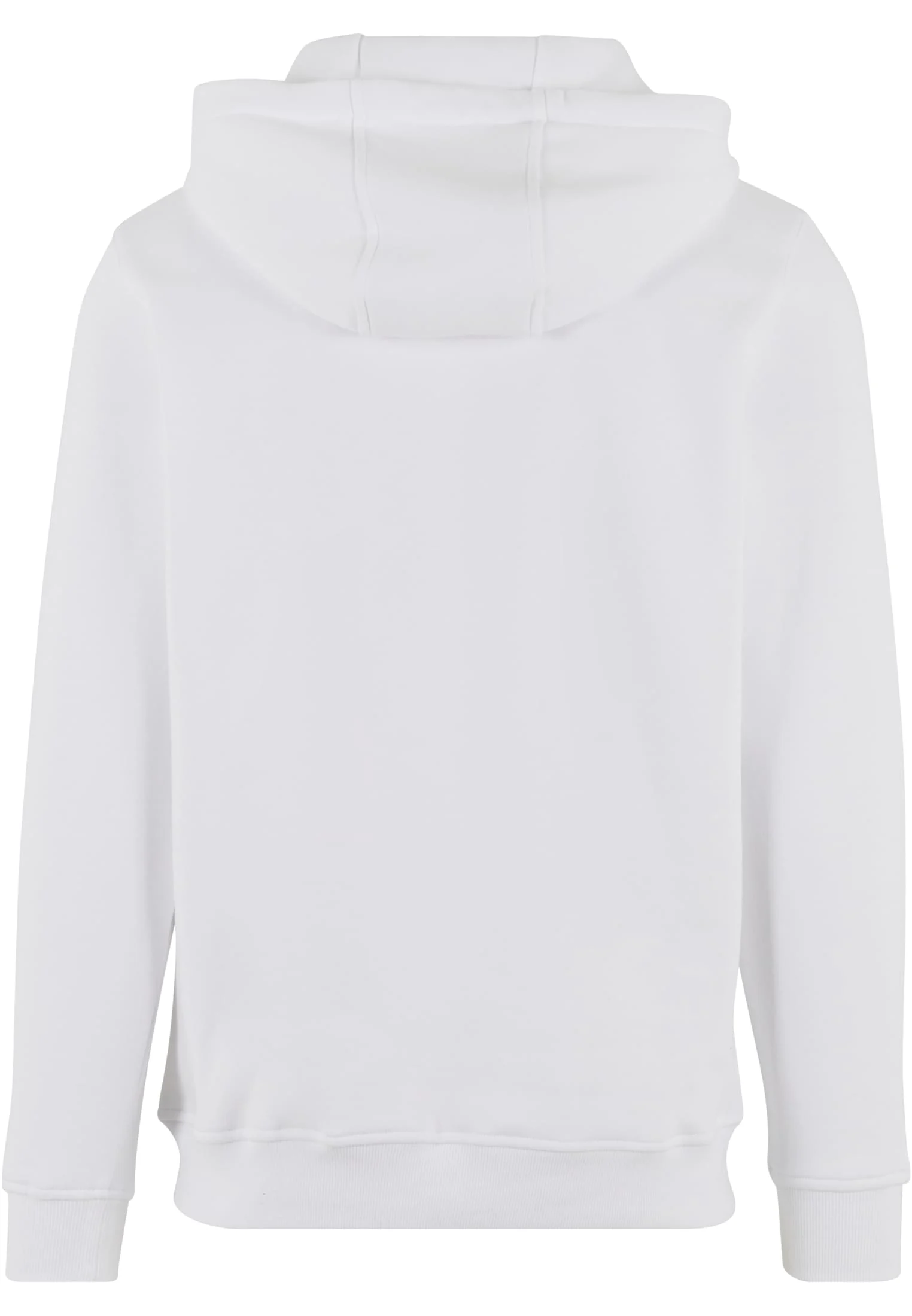 skwm-tb-MT3690_P2-00220 Detroit Tiger Head Hoody