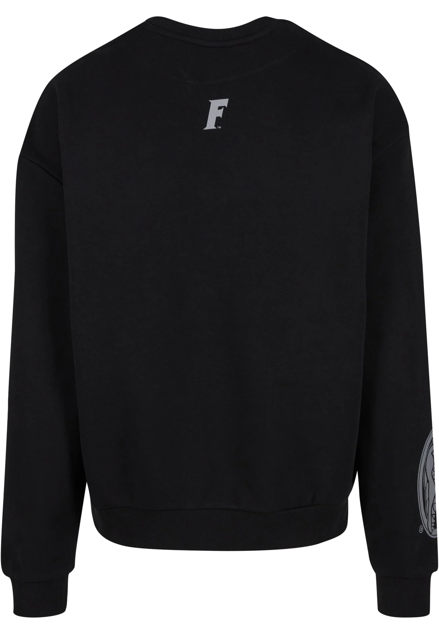 skwm-tb-MT3740_P2-00007 Florida Gators 1853 Oversize Crewneck