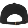 skwm-tb-MT3839_P2-00007 Just Another Cotton Twill Cap
