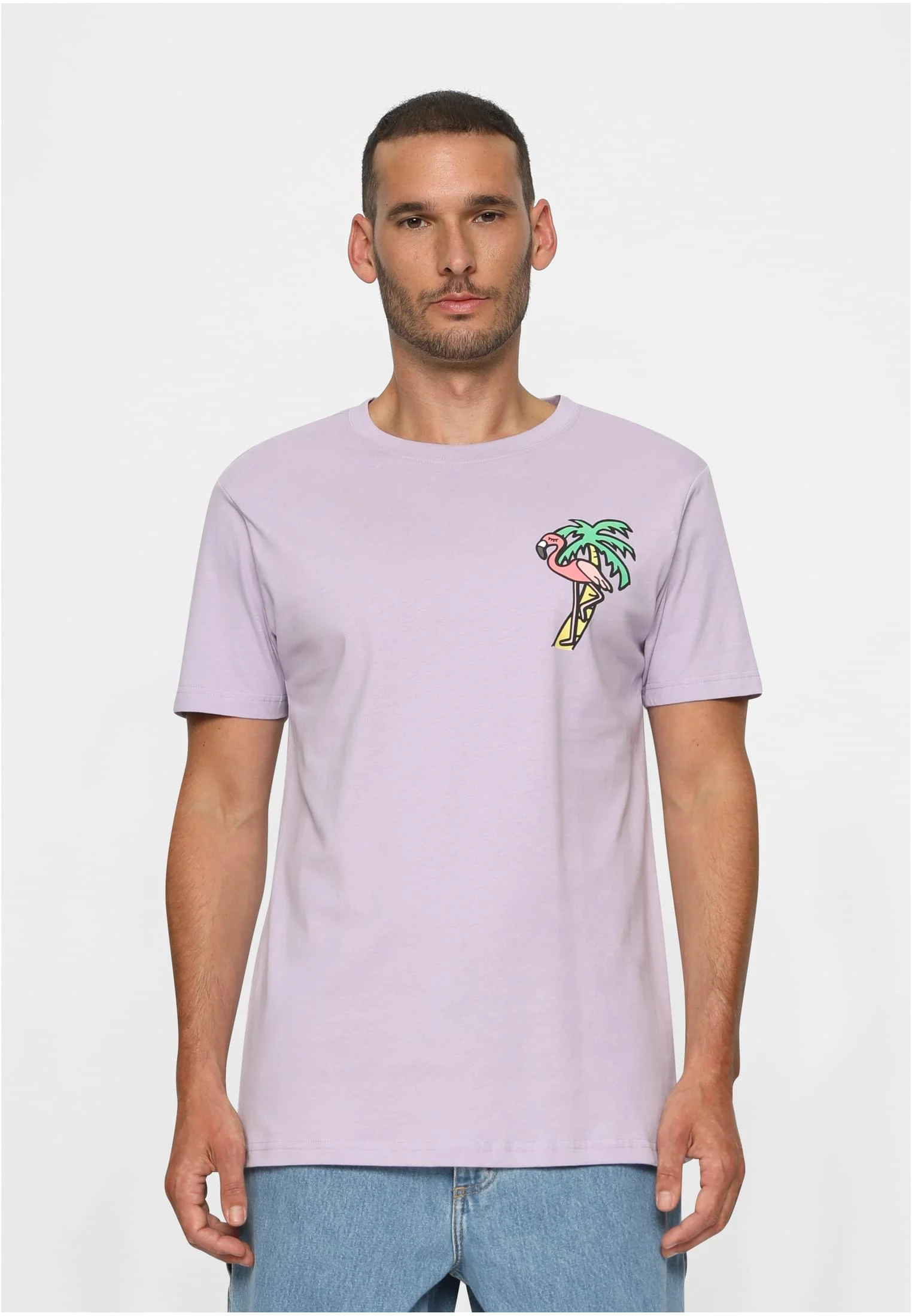 skwm-tb-MT550_Mw1-00145_0b635e09-7178-4d5e-b0ad-4bde7b3dc70a Flamingo T-Shirt Round Neck