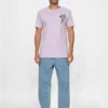 skwm-tb-MT550_Mw12-00145_ba2b20c5-edce-4eca-8a15-1fd9c2e21885 Flamingo T-Shirt Round Neck