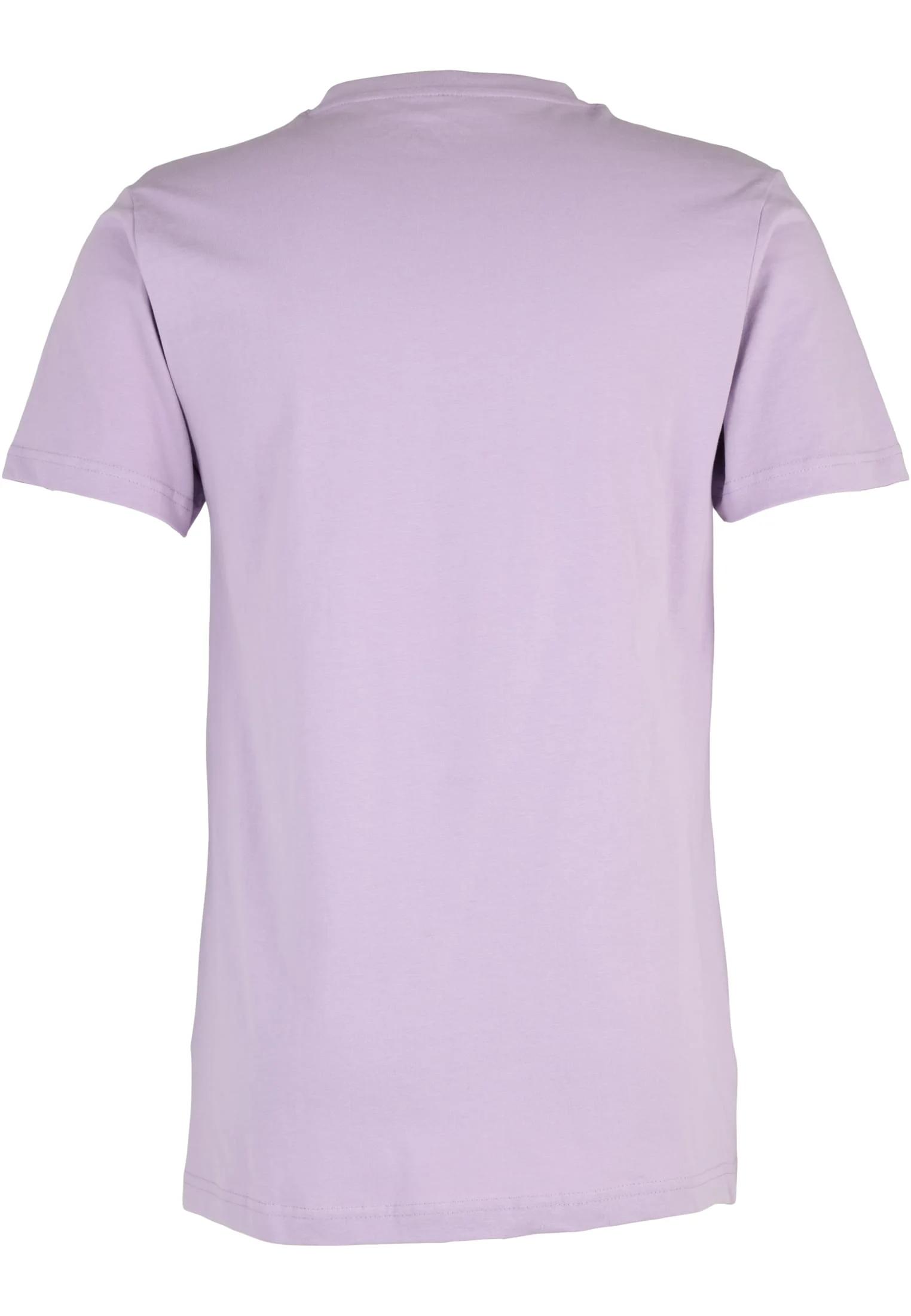 skwm-tb-MT550_P2-00145_4acb890a-4a75-498c-a6bf-a953326a64fa Flamingo T-Shirt Round Neck