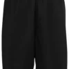 skwm-tb-TB046_P1-00007_d09282bf-6b8e-4845-bac0-049aec704a1b Bball Mesh Shorts
