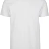 skwm-tb-TB2684A_P2-00826 Basic Tee 2-Pack