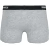 skwm-tb-TB3708_P2-02671_23ba41d5-c4c2-45db-808b-de9ed7325842 Boxer Shorts 3-Pack