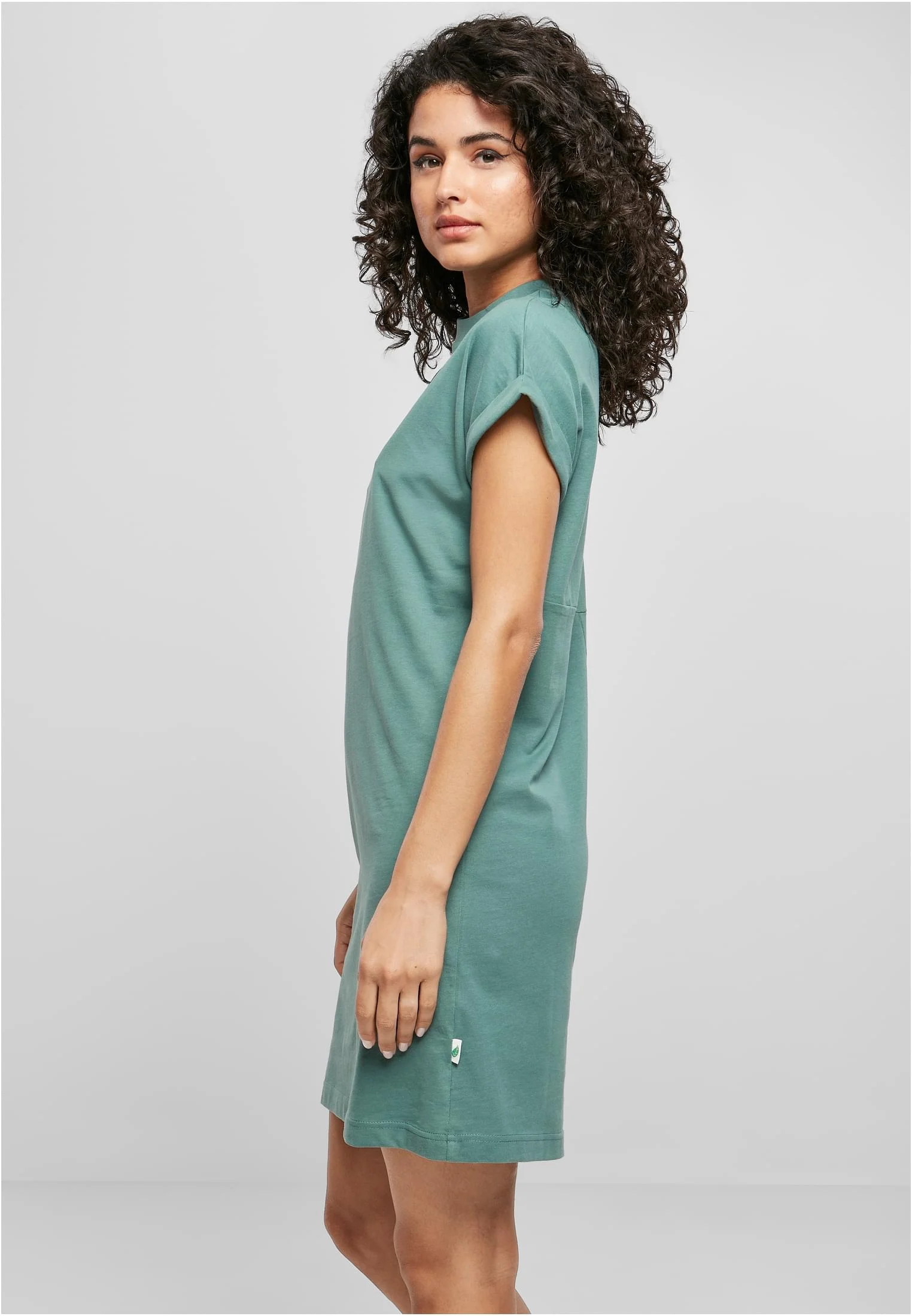 Ladies Essentials Cotton Cut On Sleeve Tee Dress