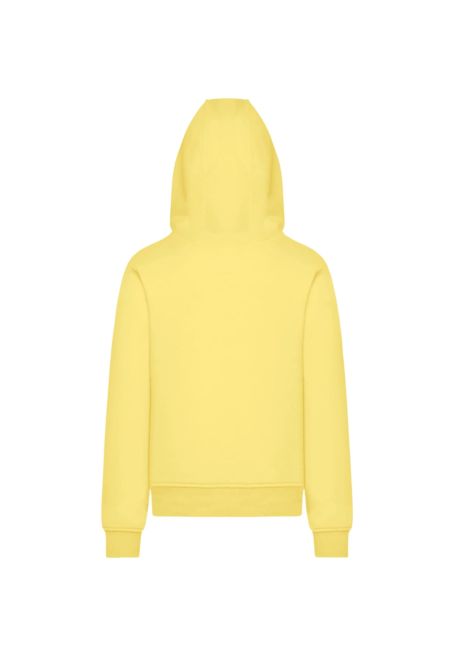 skwm-tb-TB9302_P2-02704 Heavy Hoody