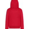 skwm-tb-TB9303_P2-00207 Heavy Hoody